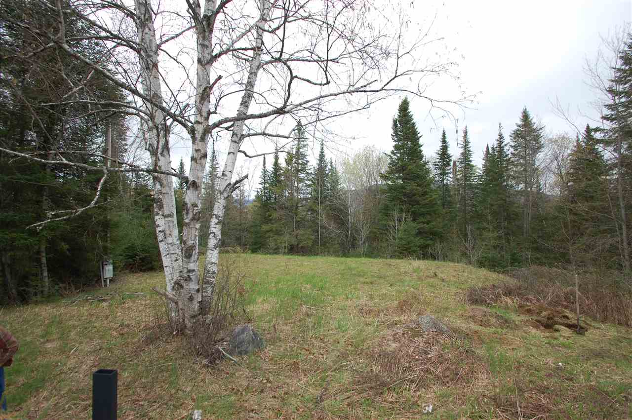 4 Sally's Drive, Jefferson, NH 03583