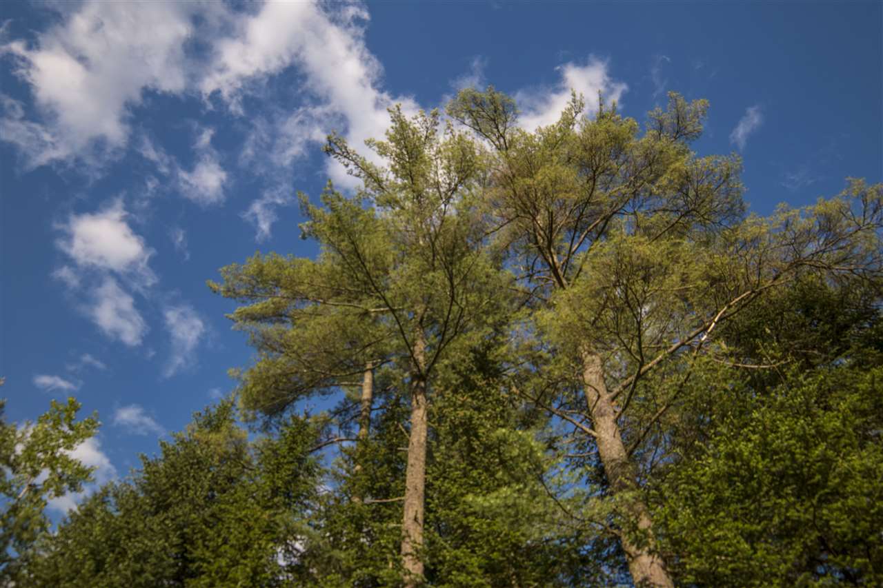 00 Pine Haven Road, Lancaster, NH 03584