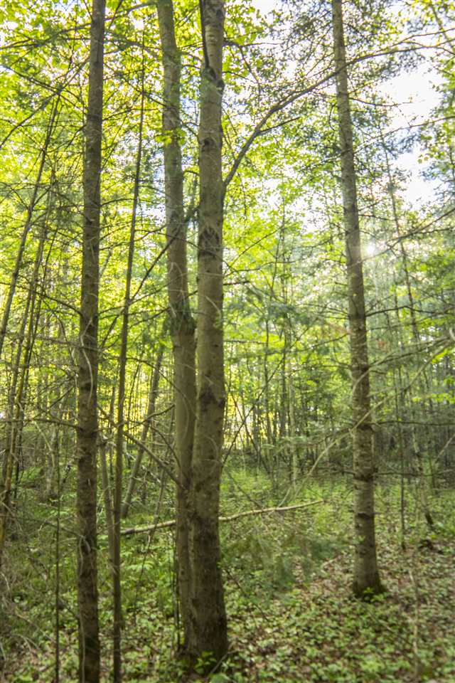 00 Pine Haven Road, Lancaster, NH 03584