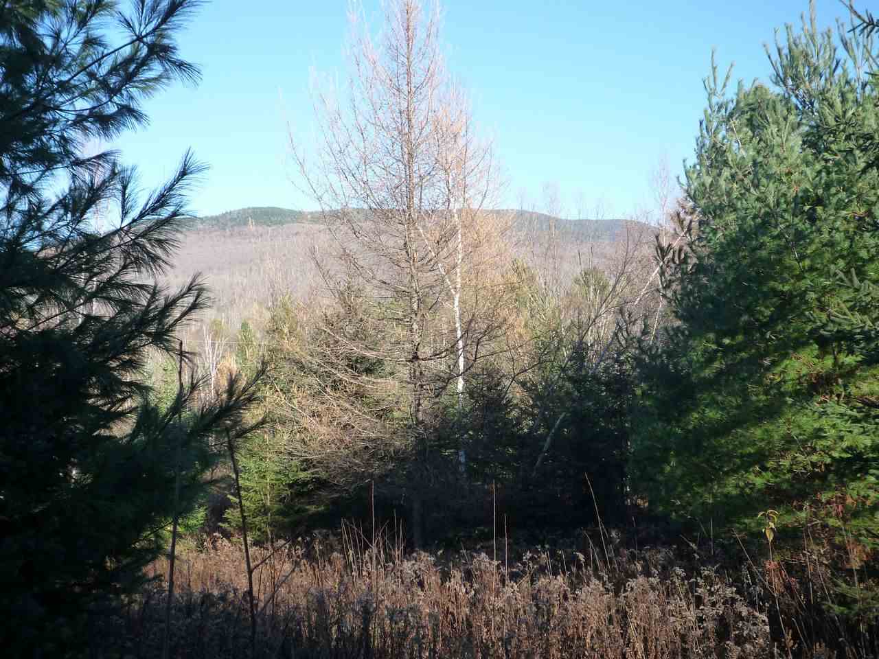 Lot 1 Bone Brook Road, Lancaster, NH 03584