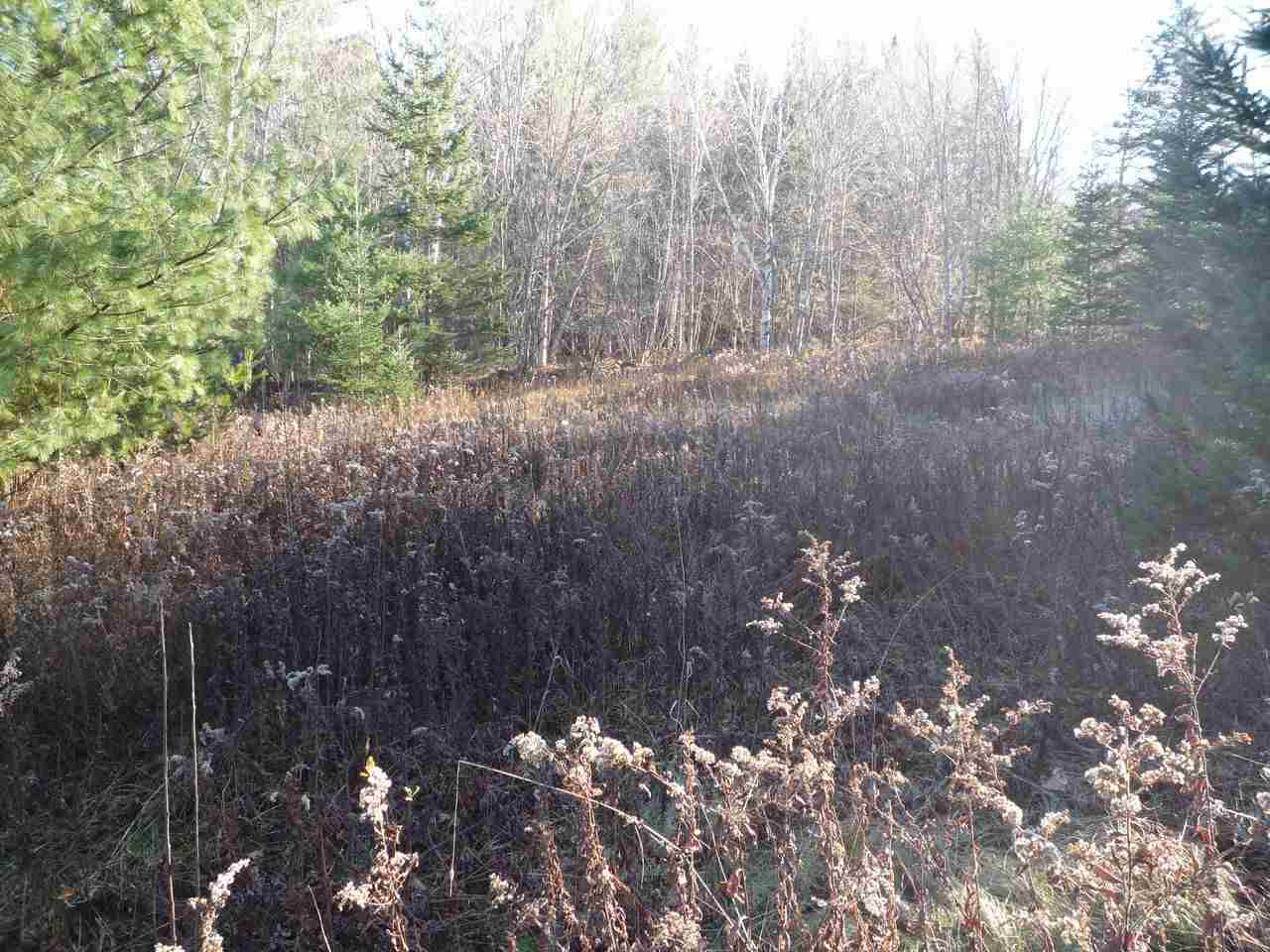 Lot 1 Bone Brook Road, Lancaster, NH 03584