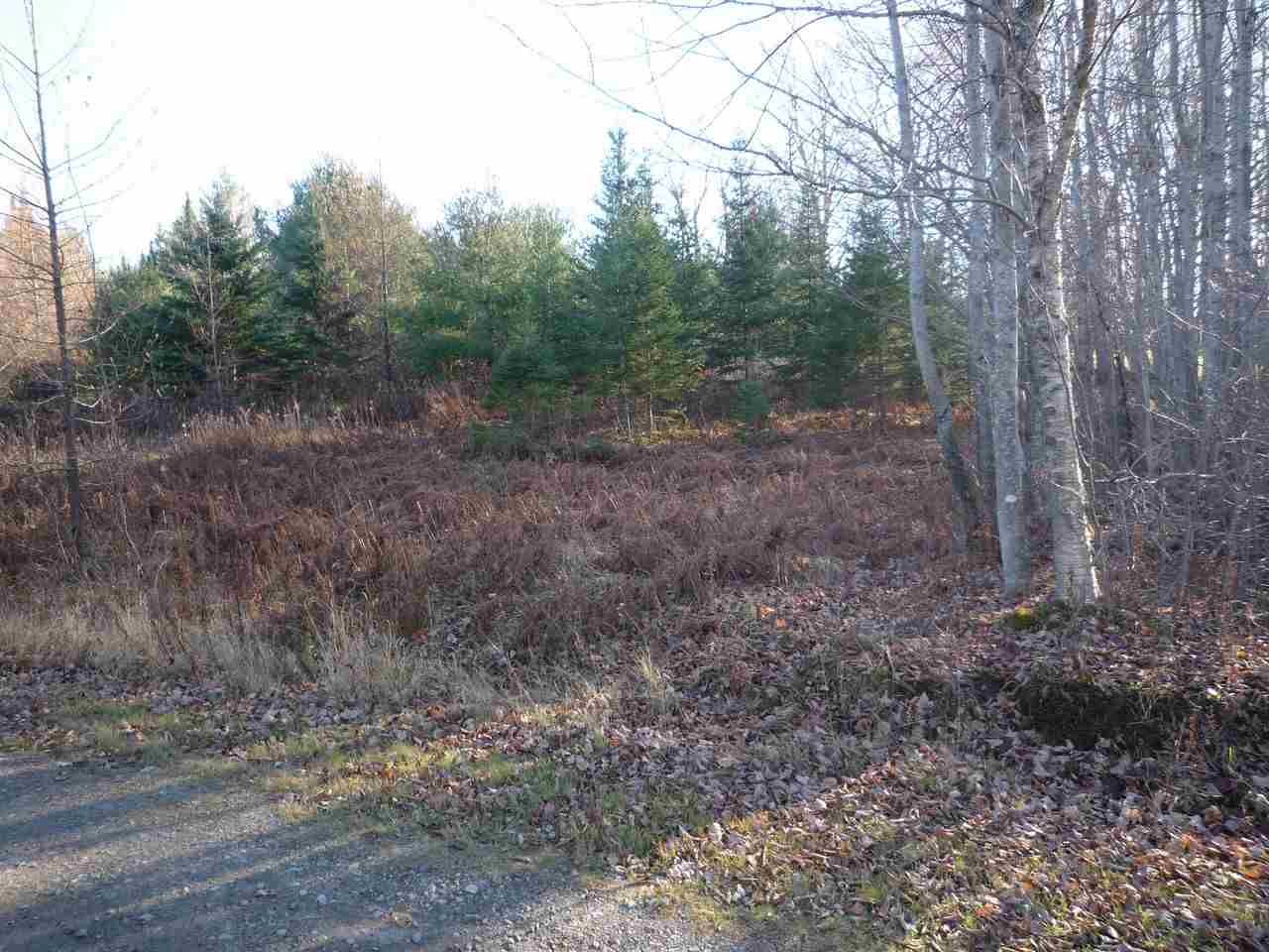 Lot 1 Bone Brook Road, Lancaster, NH 03584