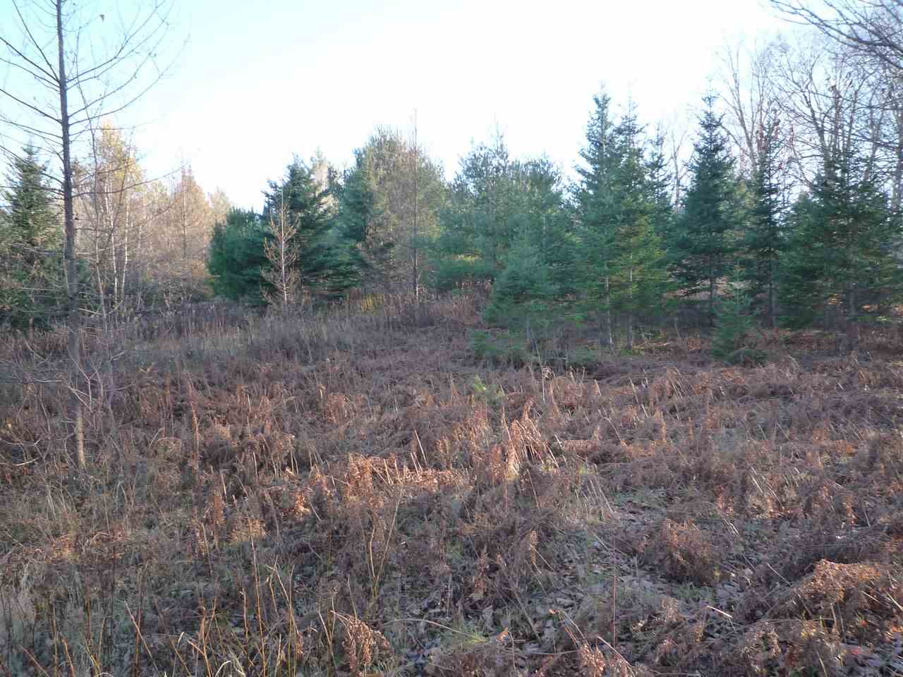 Lot 1 Bone Brook Road, Lancaster, NH 03584