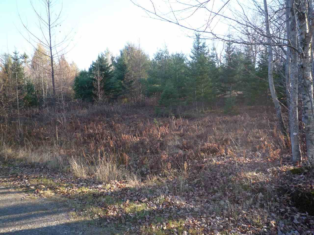 Lot 1 Bone Brook Road, Lancaster, NH 03584