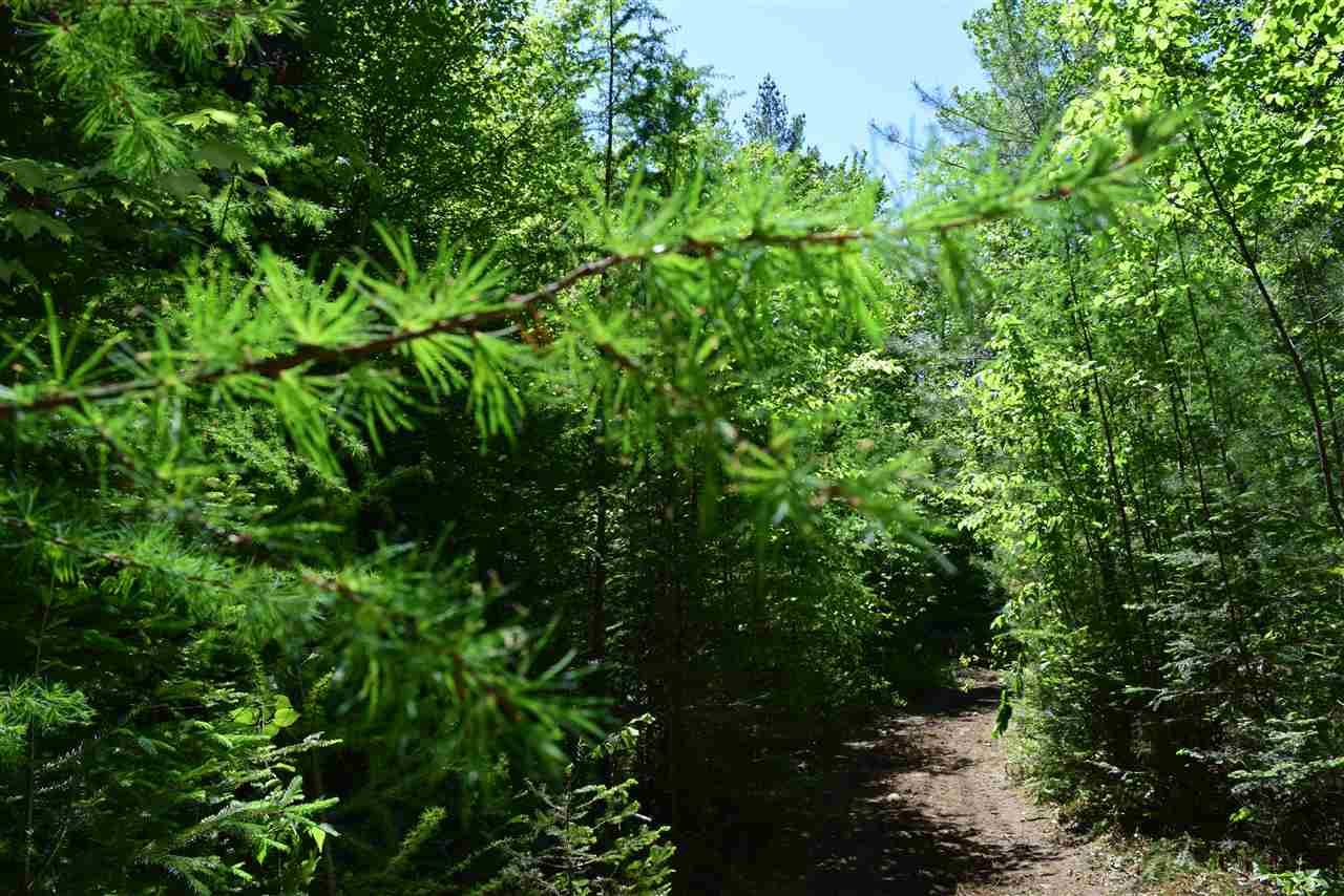 0 Buffalo Road, Lancaster, NH 03584