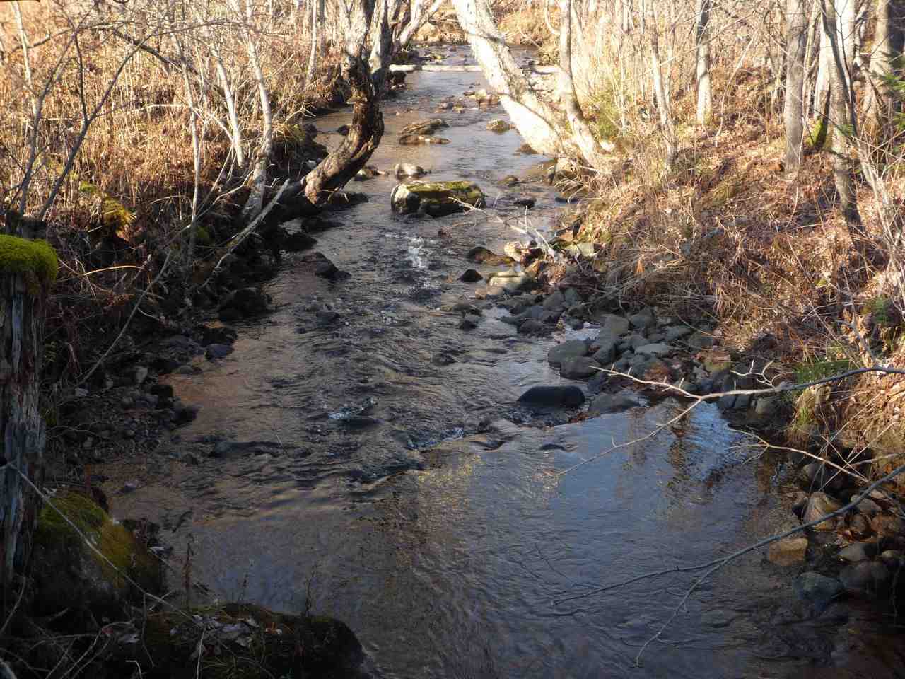 Lot A Bone Brook Lane, Lancaster, NH 03584
