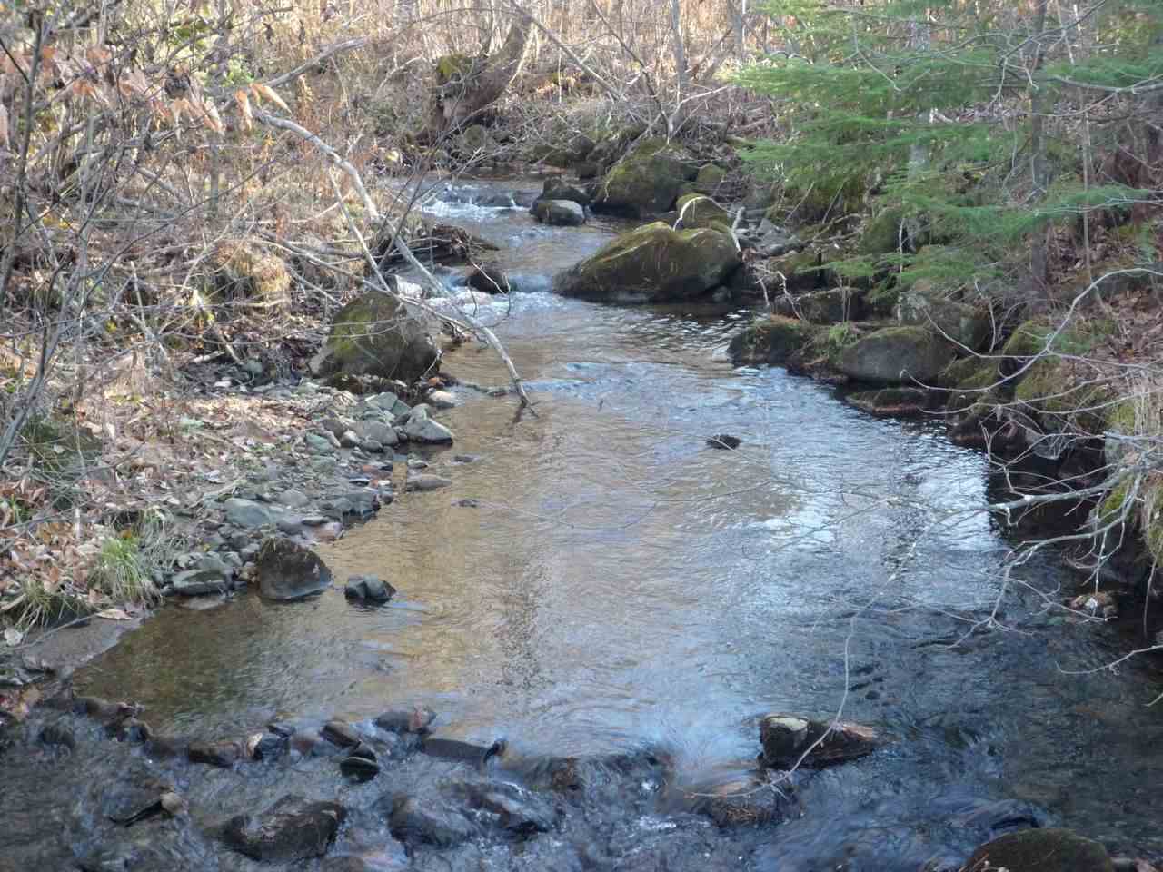 Lot A Bone Brook Lane, Lancaster, NH 03584