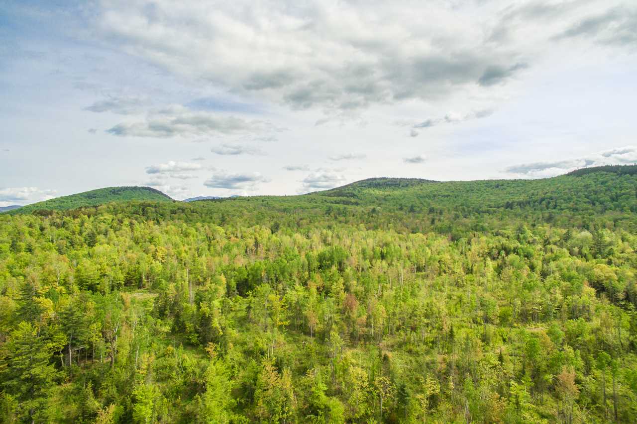 000 Gale Chandler Rd, Landaff, NH 03585