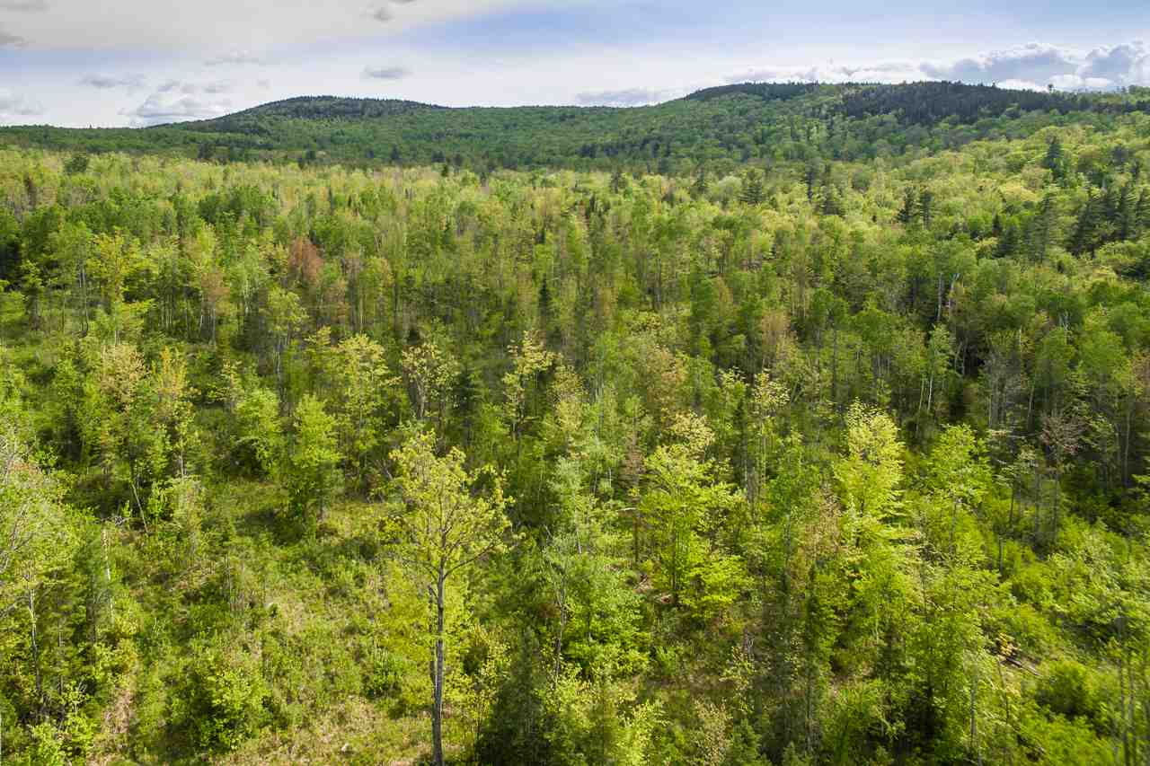 000 Gale Chandler Rd, Landaff, NH 03585