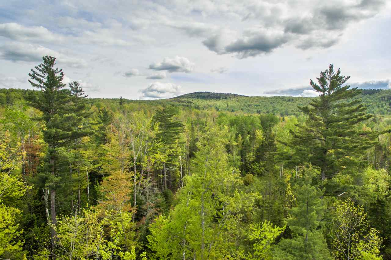 000 Gale Chandler Rd, Landaff, NH 03585