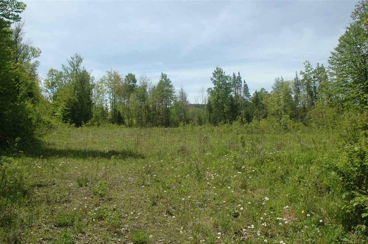 000 Gale Chandler Rd, Landaff, NH 03585