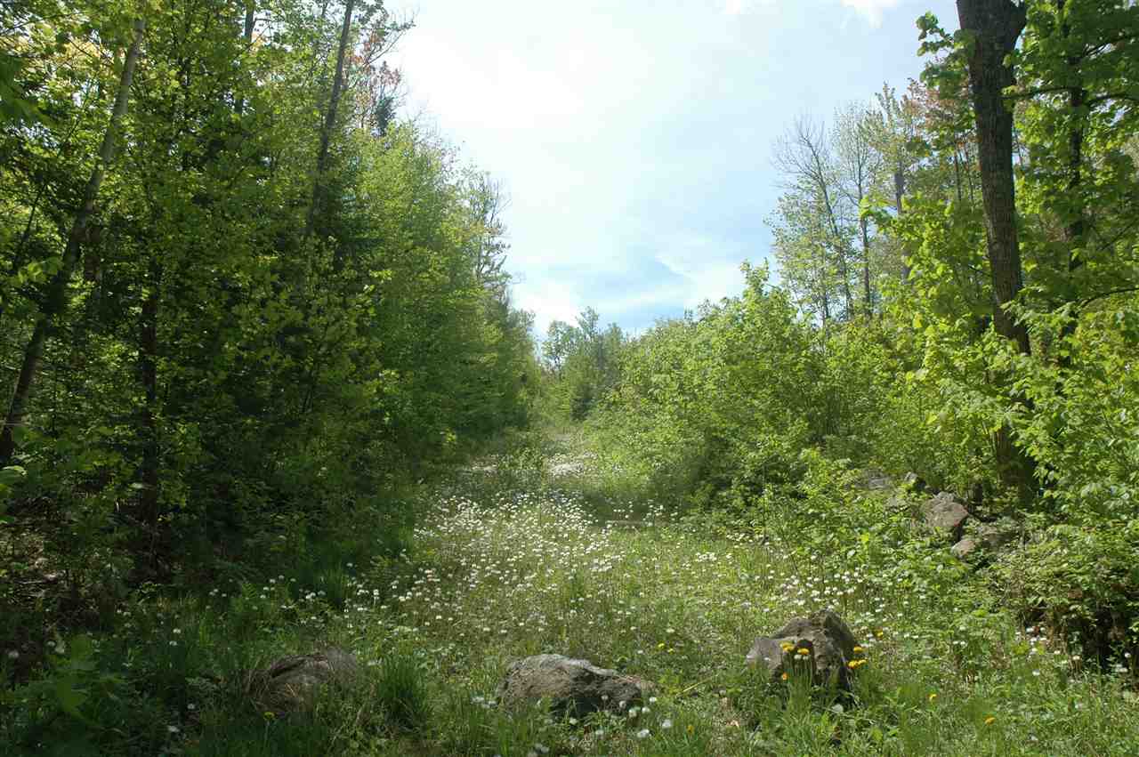 000 Gale Chandler Rd, Landaff, NH 03585