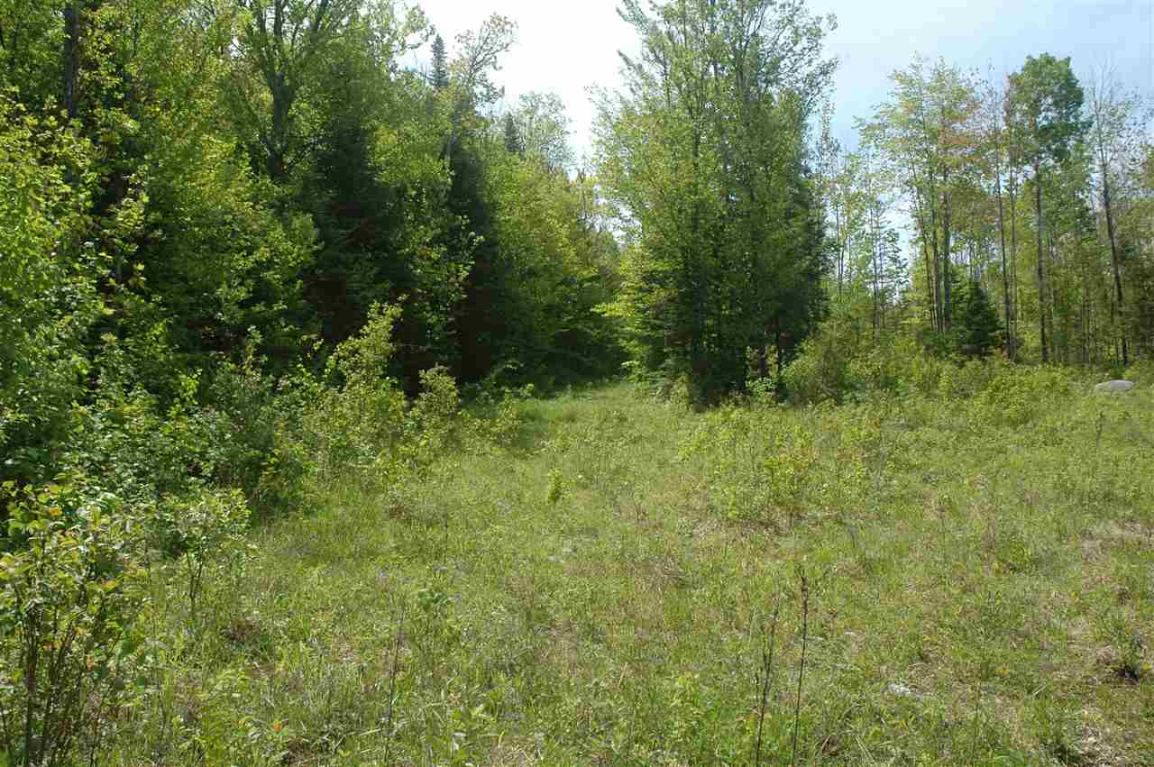 000 Gale Chandler Rd, Landaff, NH 03585