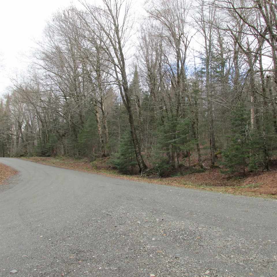 Idlewilde Road, Pittsburg, NH 03592