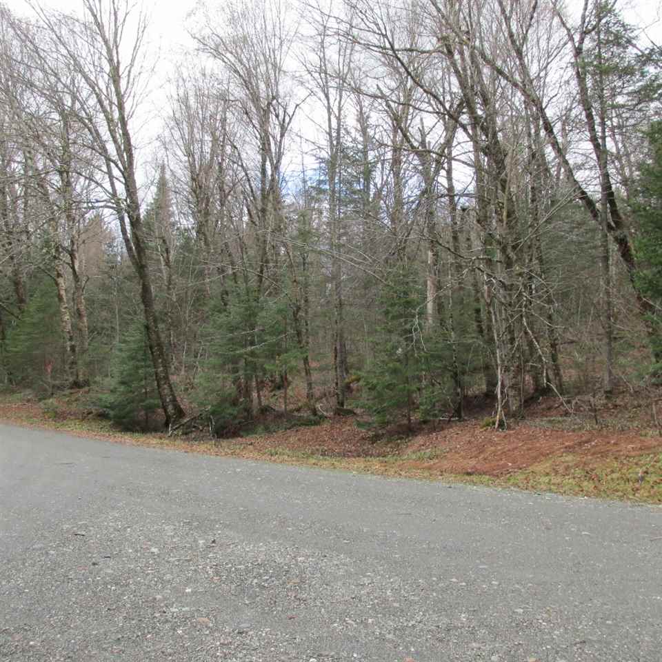 Idlewilde Road, Pittsburg, NH 03592