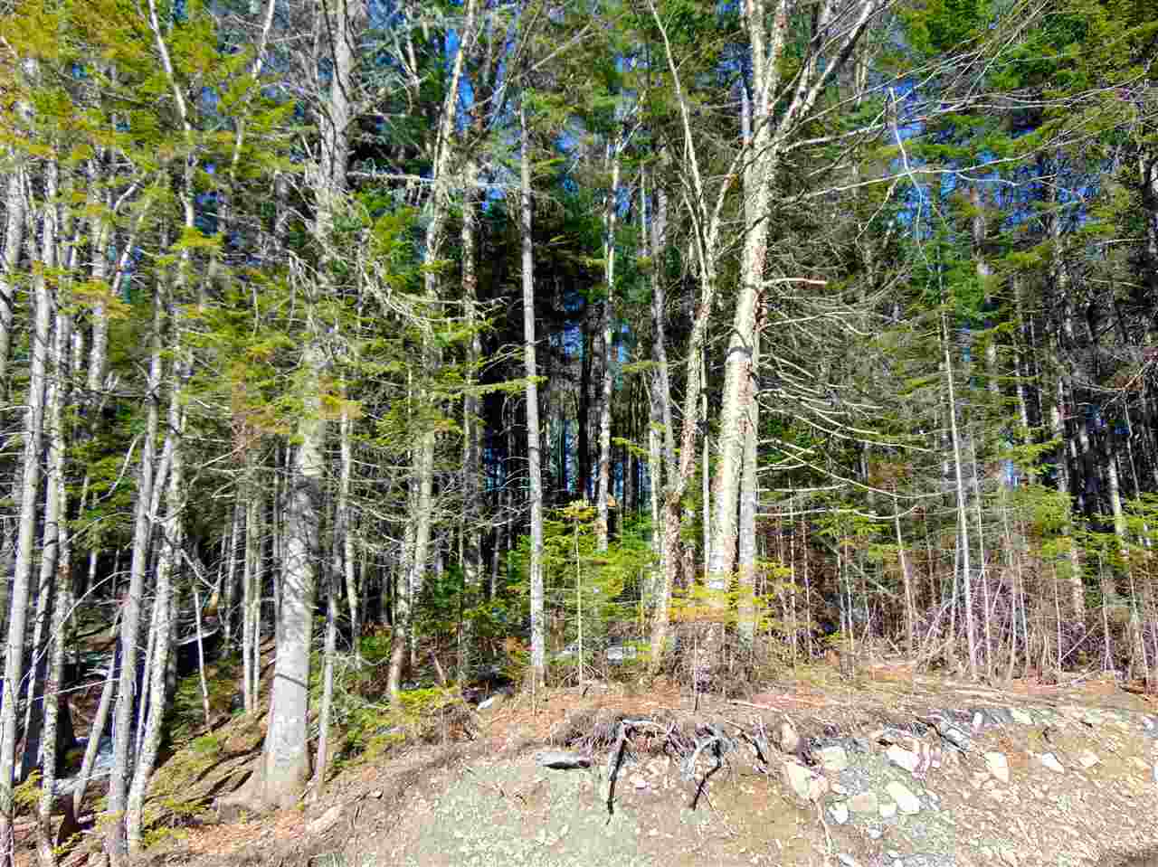 - Camp Otter Road, Pittsburg, NH 03592