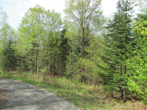 Lot #1 Gore Road, Pittsburg, NH 03592