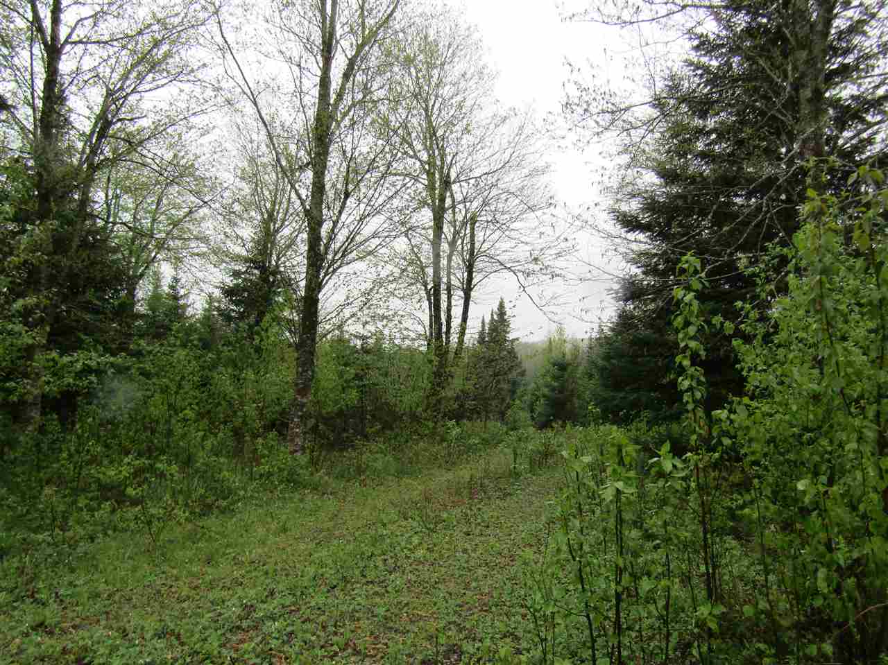 31 Valley View Drive, Pittsburg, NH 03592