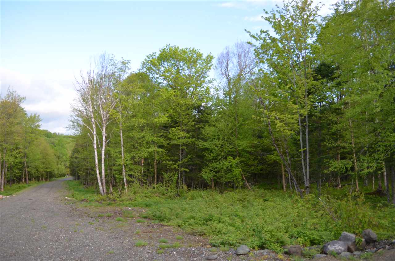 Lot 210-2 Angwins Trailer Park Drive, Pittsburg, NH 03592