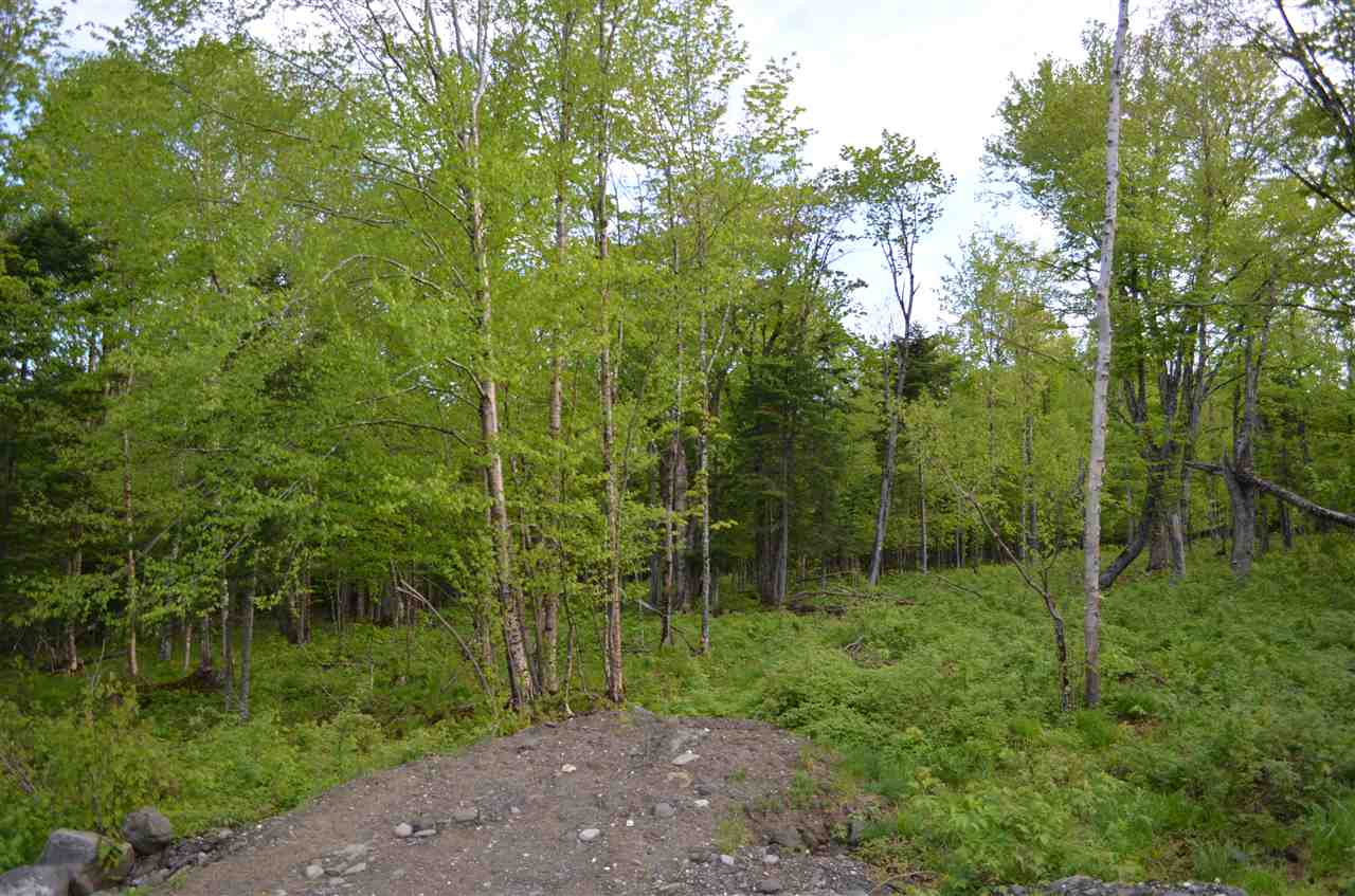 Lot 210-2 Angwins Trailer Park Drive, Pittsburg, NH 03592