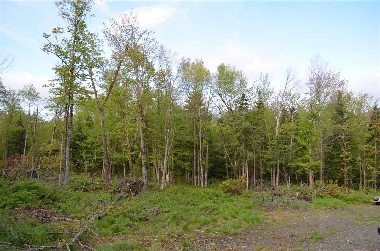 Lot 210-3 Angwins Tlr Park Drive, Pittsburg, NH 03592
