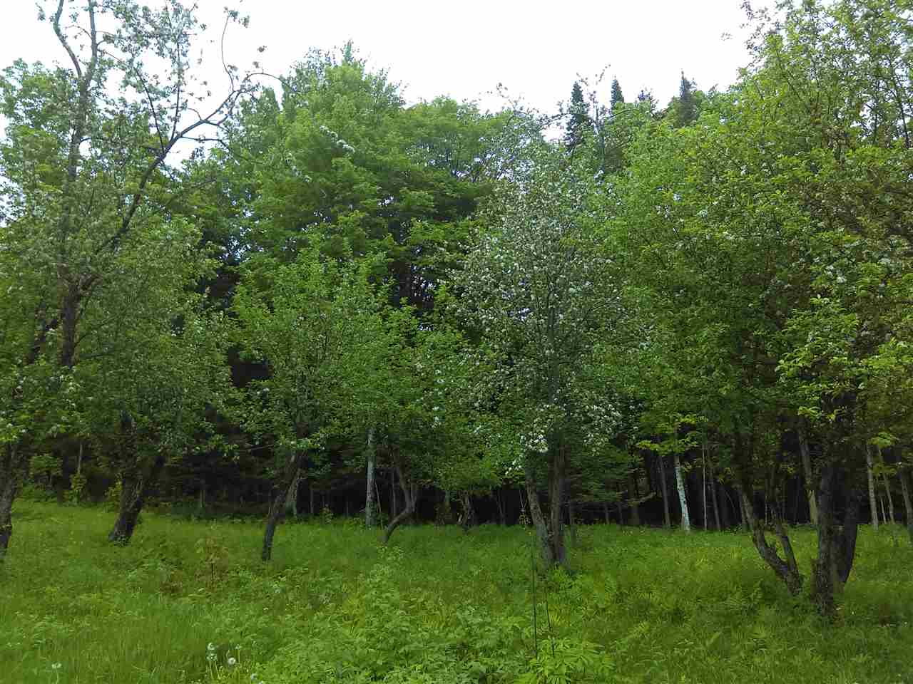 B3-352-1 Town Farm Road, Pittsburg, NH 03592