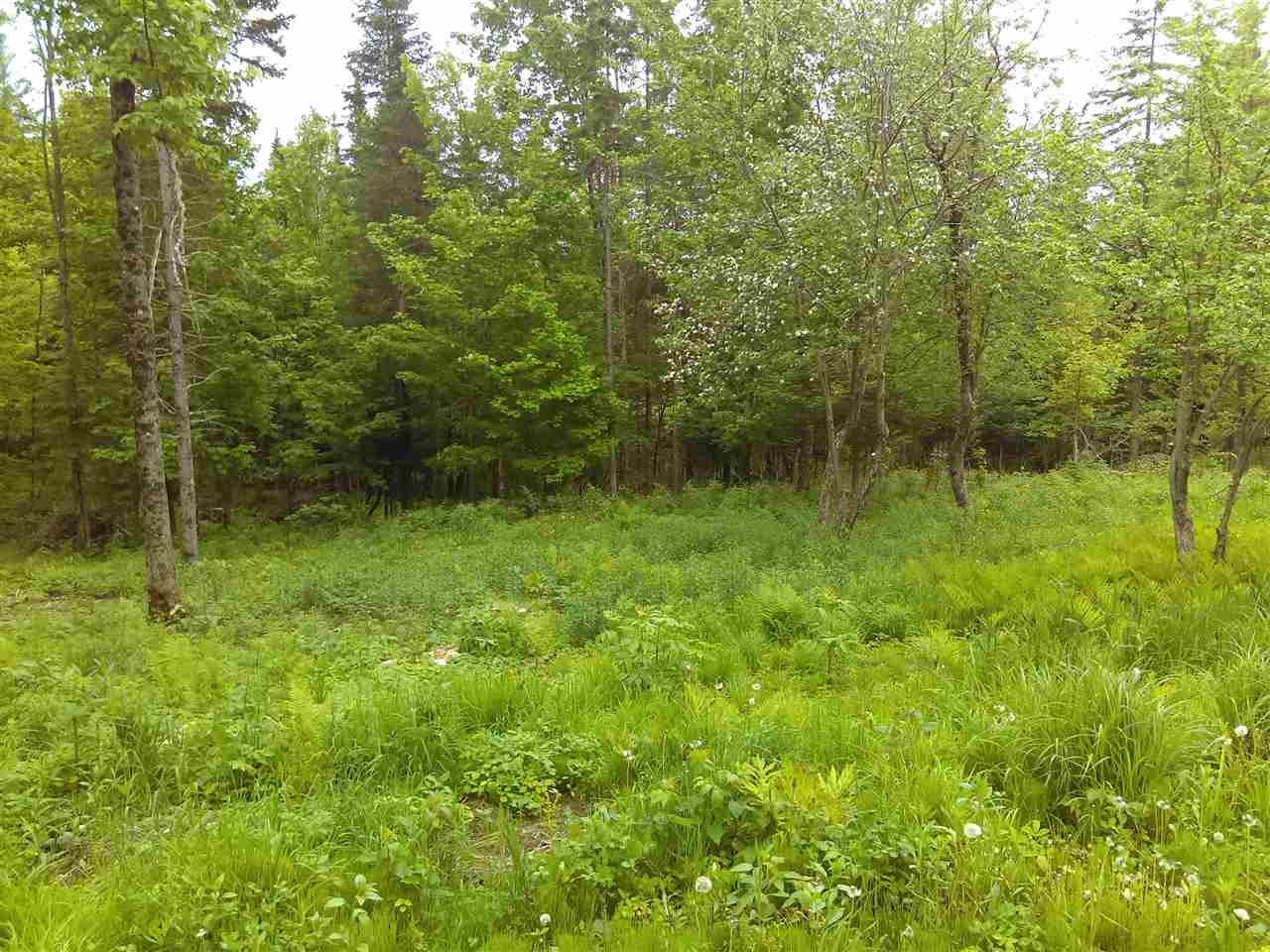 B3-352-1 Town Farm Road, Pittsburg, NH 03592