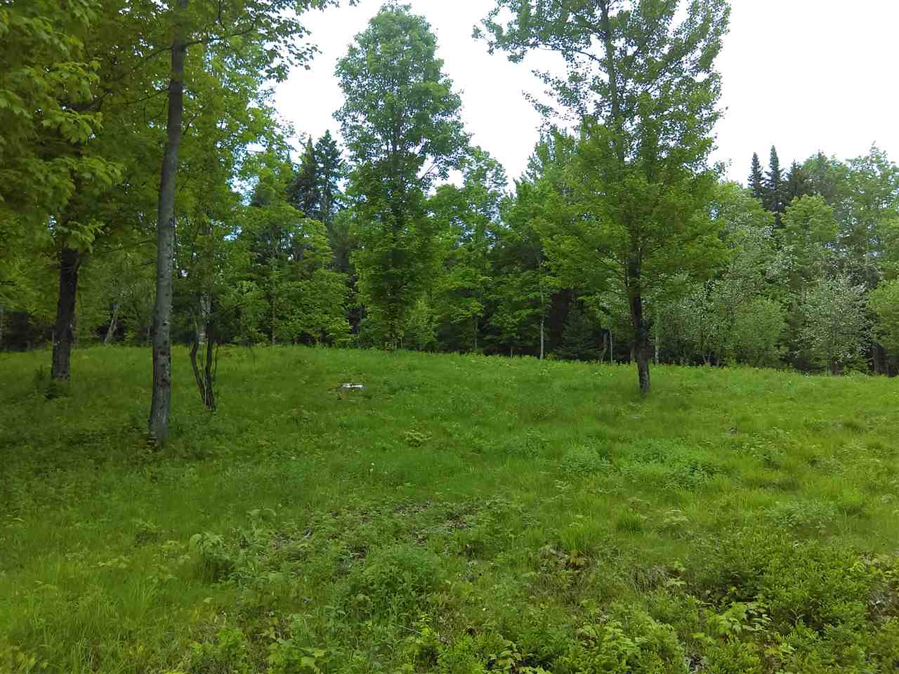 B3-352-1 Town Farm Road, Pittsburg, NH 03592