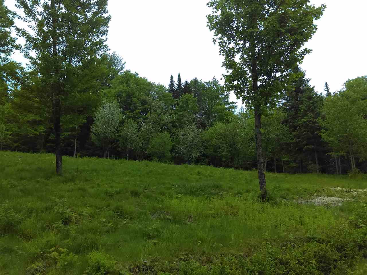 B3-352-1 Town Farm Road, Pittsburg, NH 03592