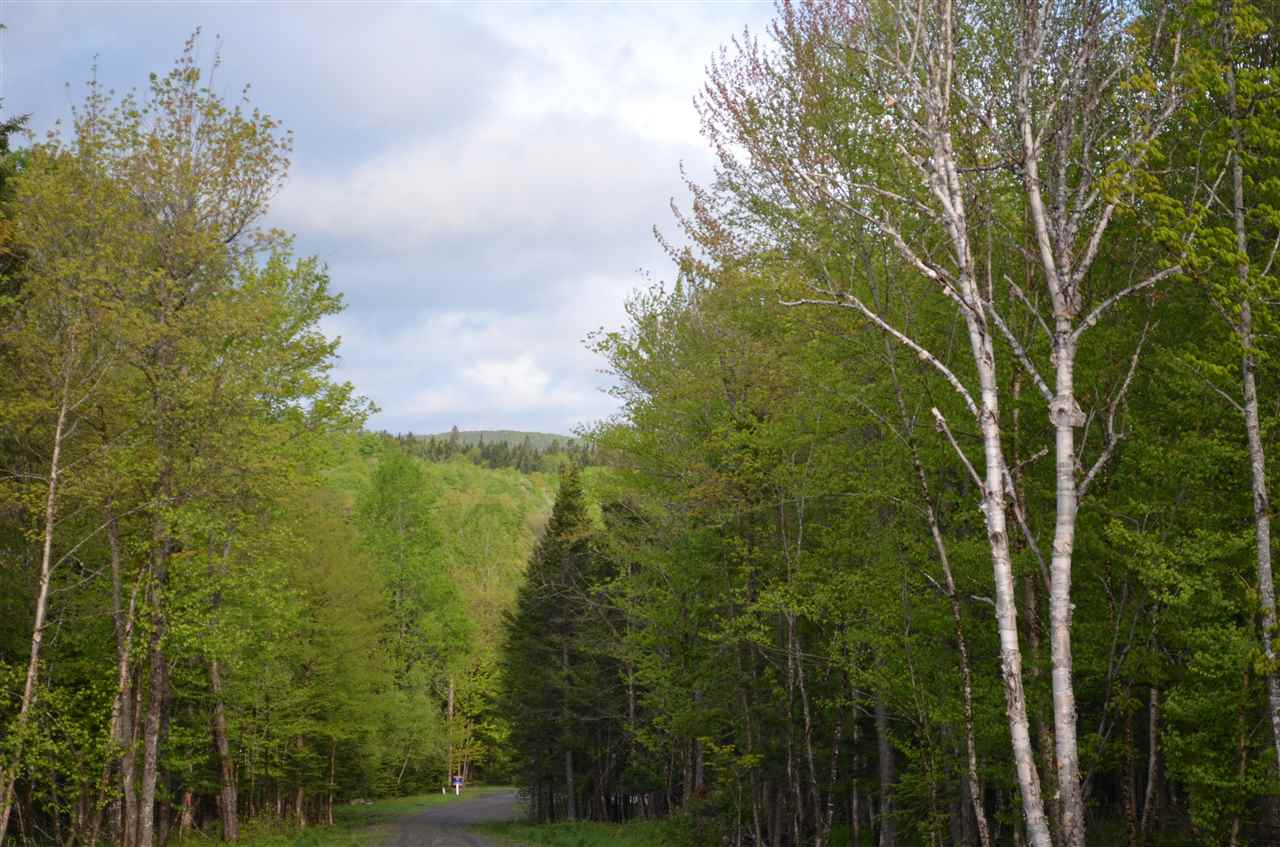 Lot 210-2&amp;3 Angwins Trl Park Drive, Pittsburg, NH 03592