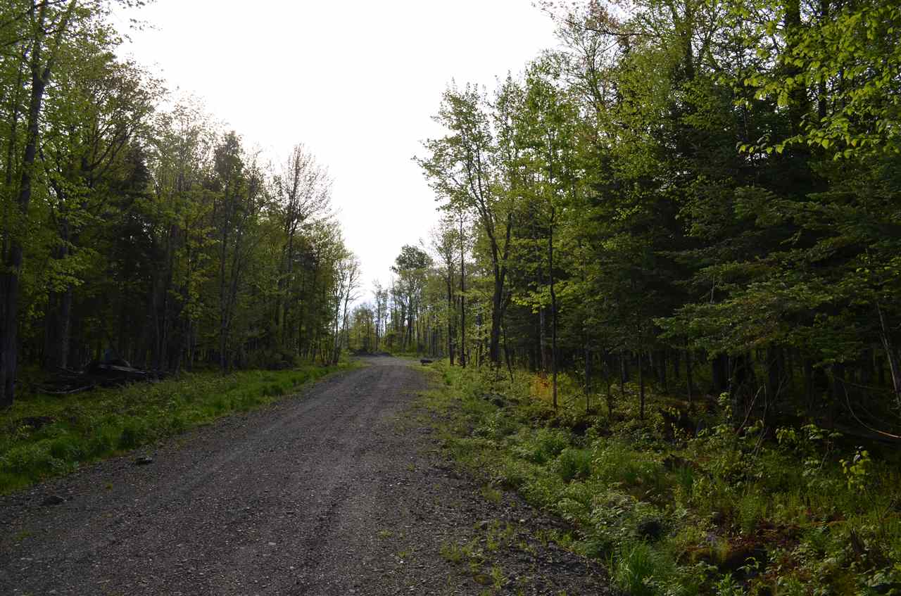 Lot 210-2&3 Angwins Trl Park Drive, Pittsburg, NH 03592