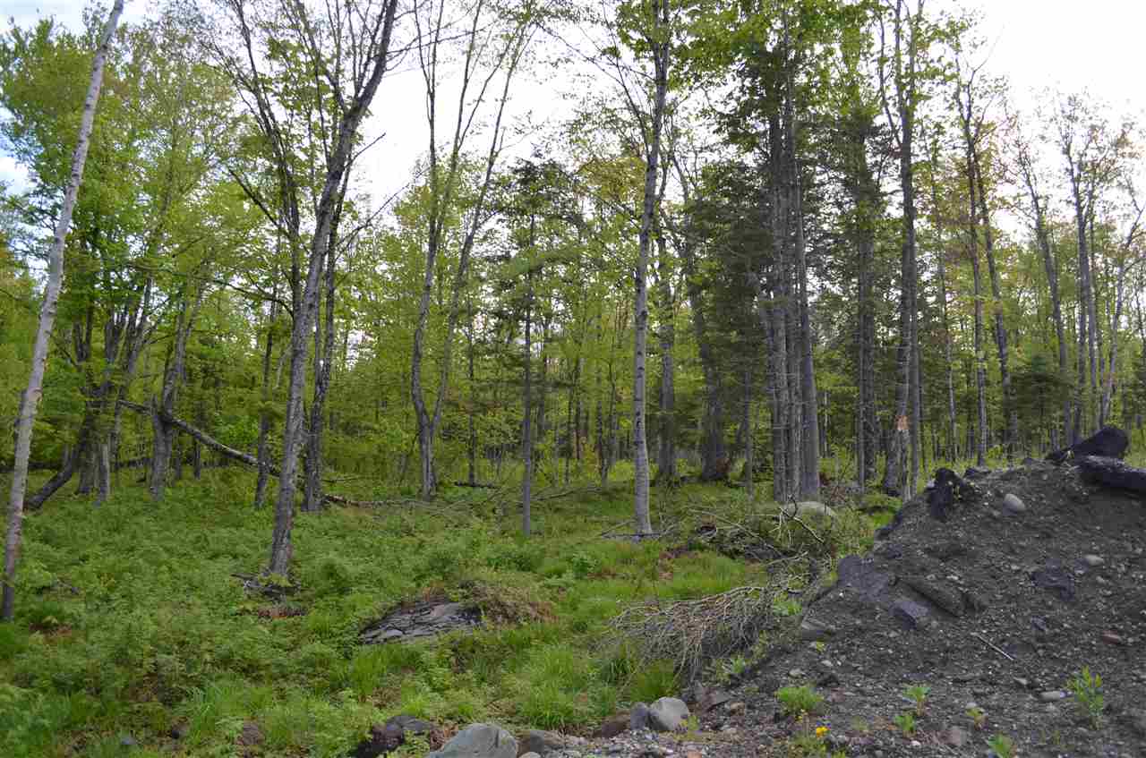 Lot 210-2&3 Angwins Trl Park Drive, Pittsburg, NH 03592