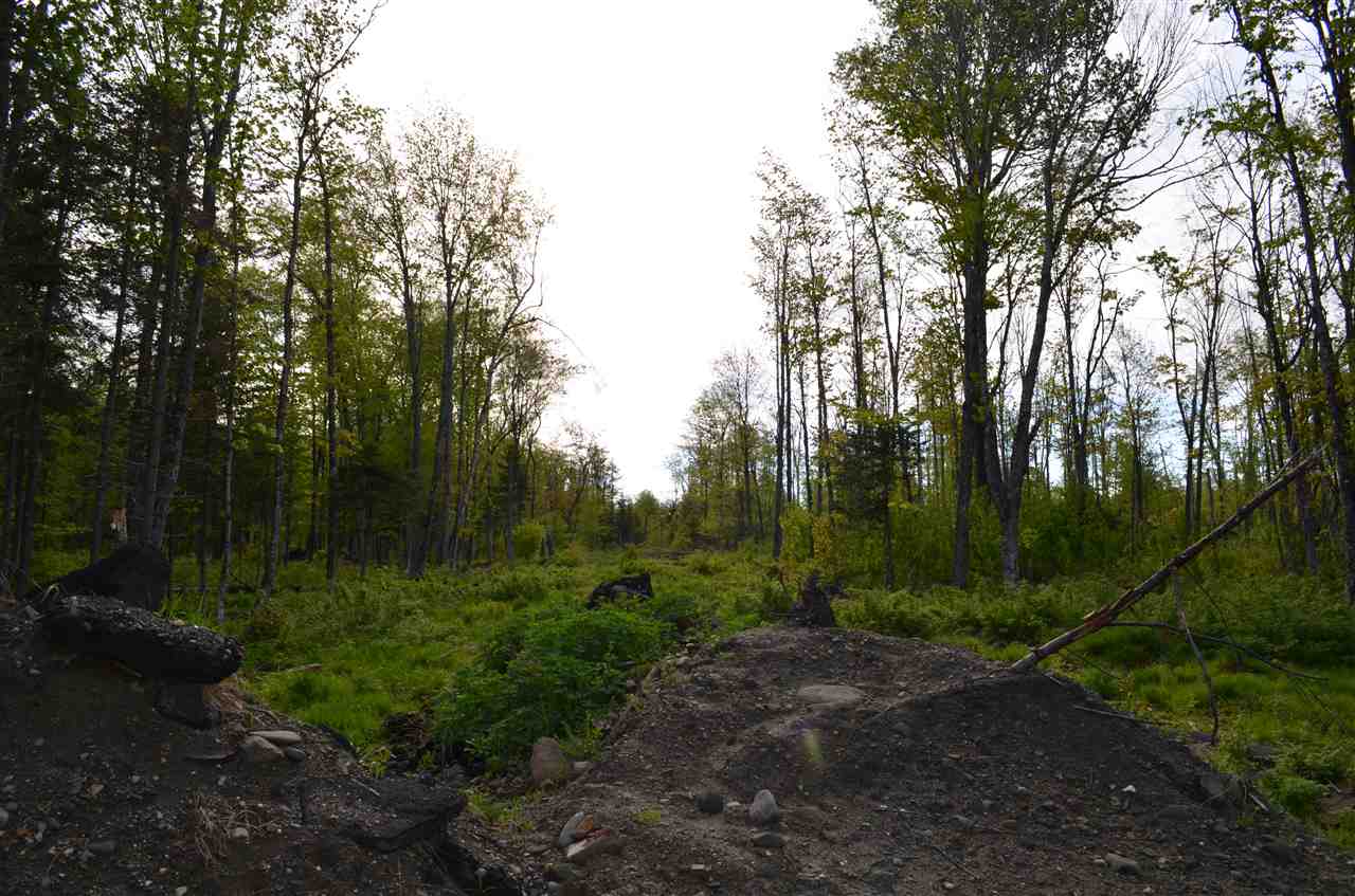 Lot 210-2&3 Angwins Trl Park Drive, Pittsburg, NH 03592