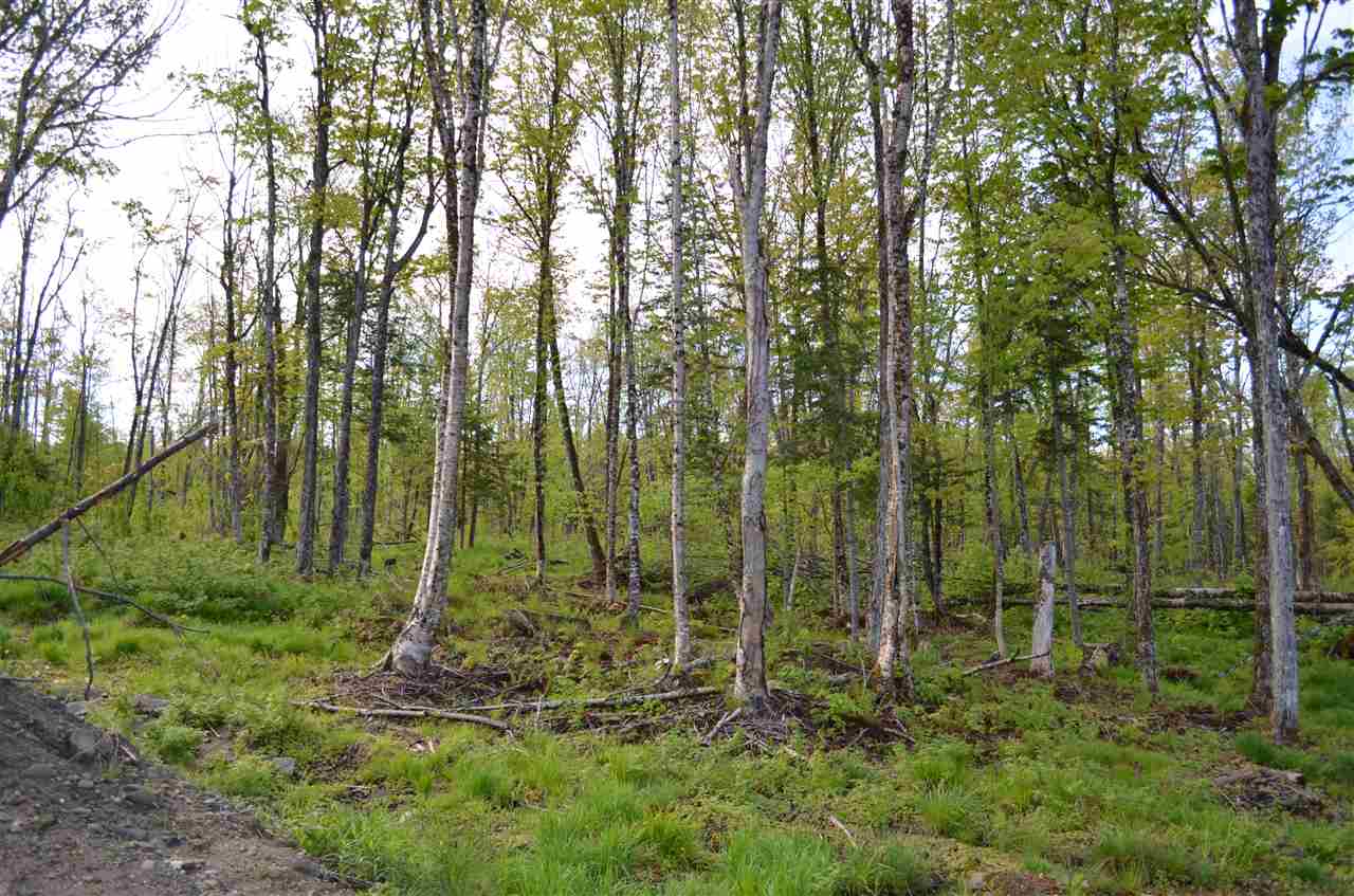 Lot 210-2&3 Angwins Trl Park Drive, Pittsburg, NH 03592