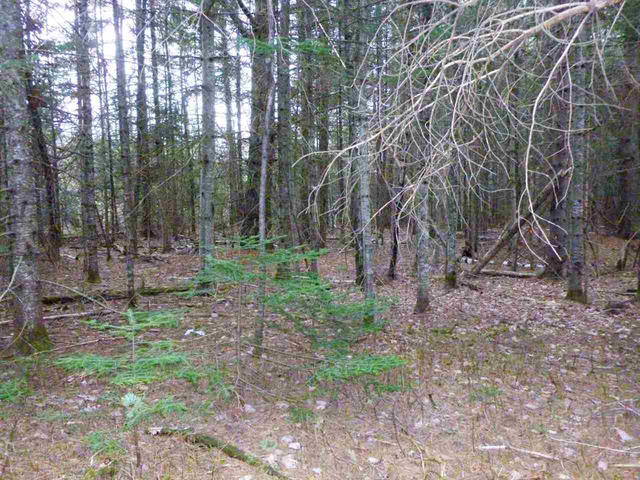 00 Deer Path, Carroll, NH 03595