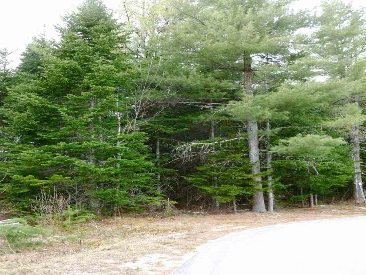 00 Deer Path, Carroll, NH 03595