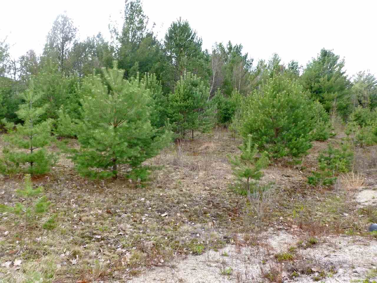 0 Deer Path, Carroll, NH 03595