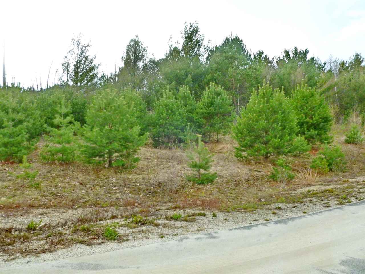 0 Deer Path, Carroll, NH 03595