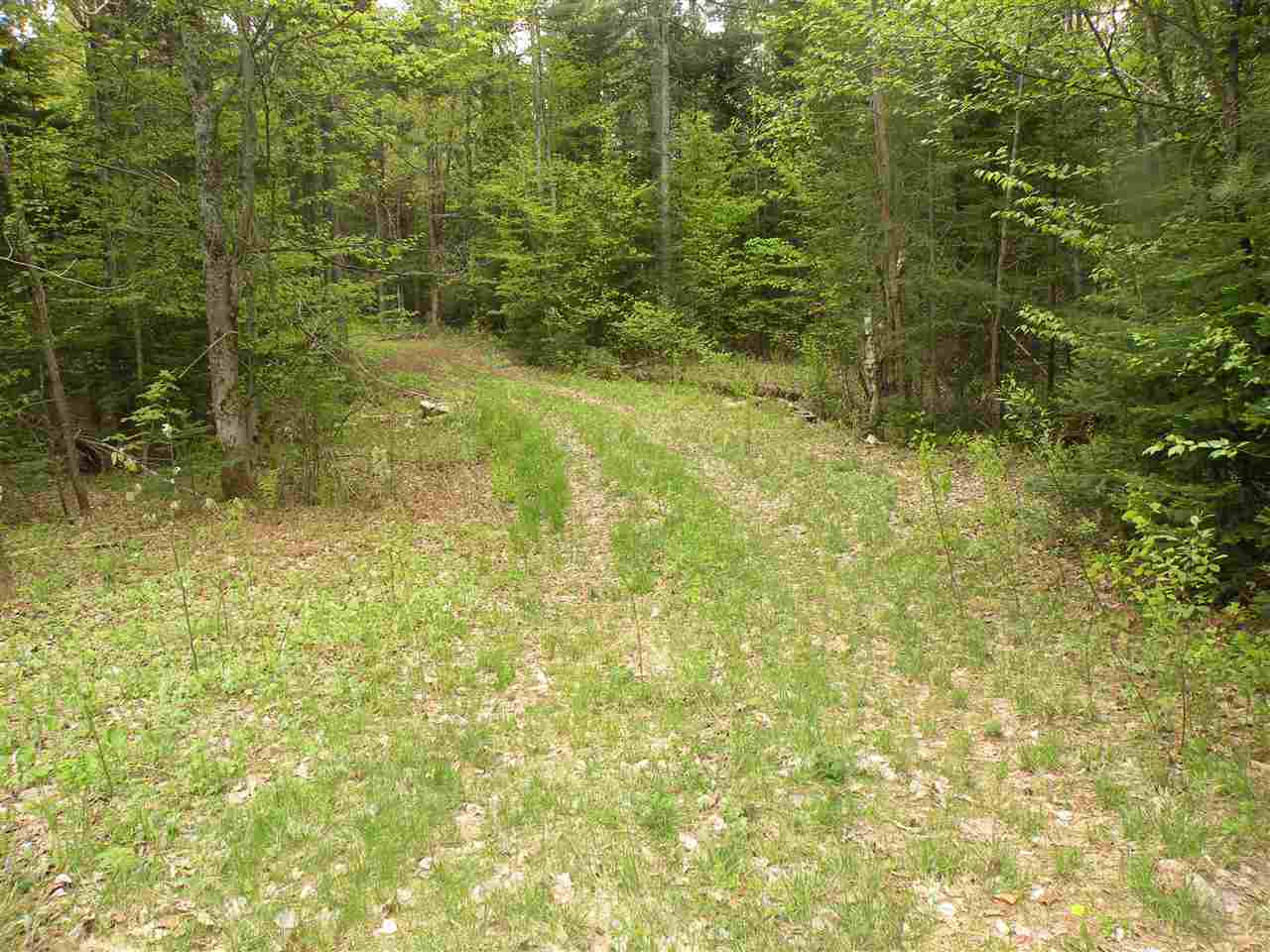 Sunset Lane, Carroll, NH 03595
