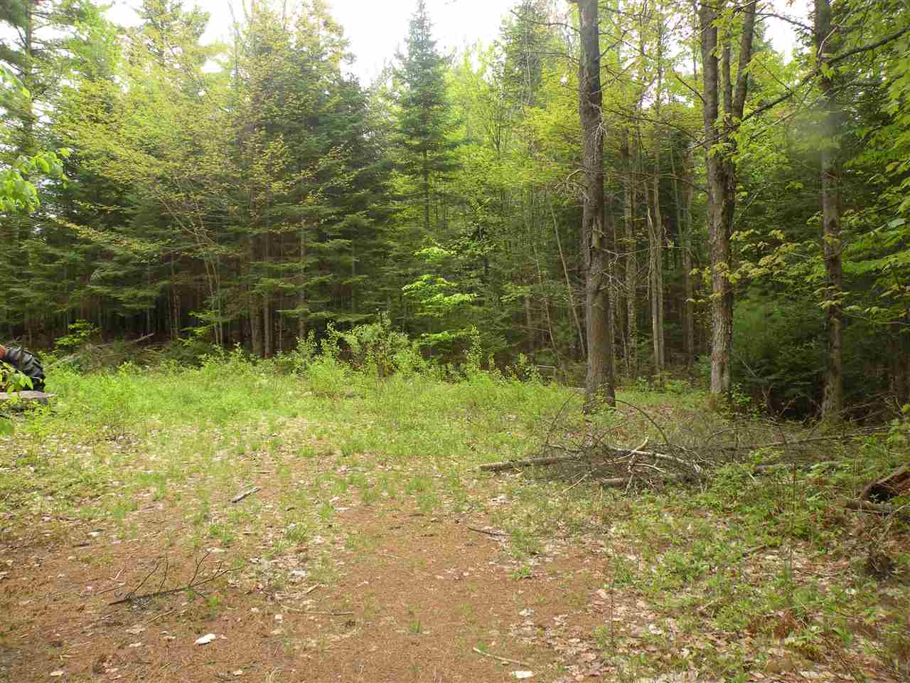 Sunset Lane, Carroll, NH 03595
