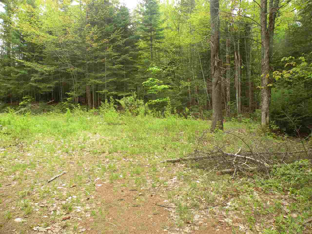 Sunset Lane, Carroll, NH 03595