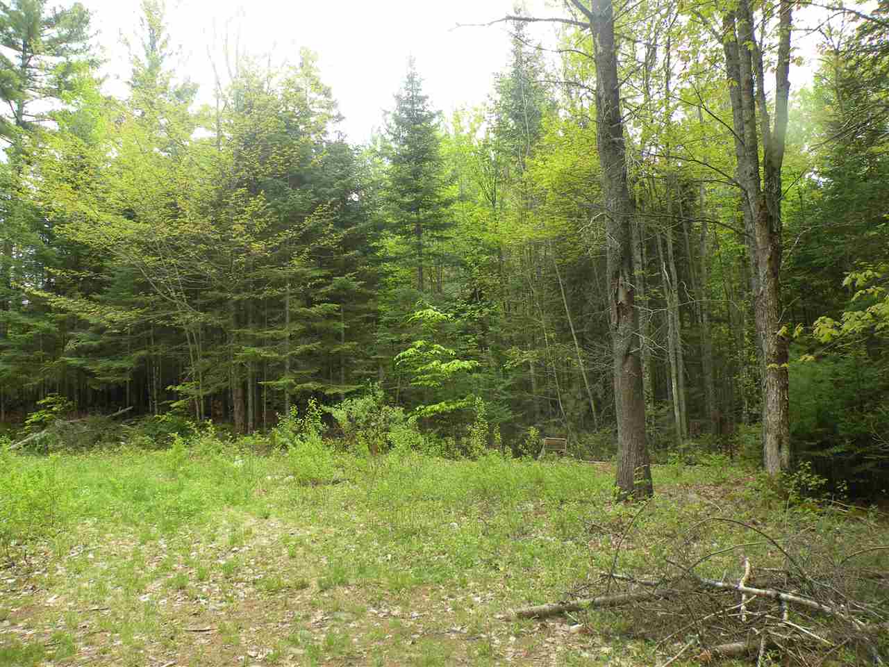 Sunset Lane, Carroll, NH 03595