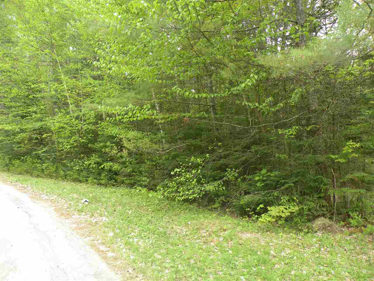 Sunset Lane, Carroll, NH 03595