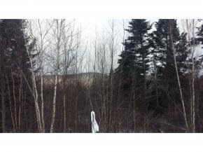 lot 16 Popular Lane, Carroll, NH 03595