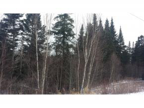 lot 16 Popular Lane, Carroll, NH 03595