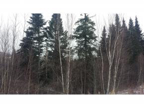 lot 16 Popular Lane, Carroll, NH 03595