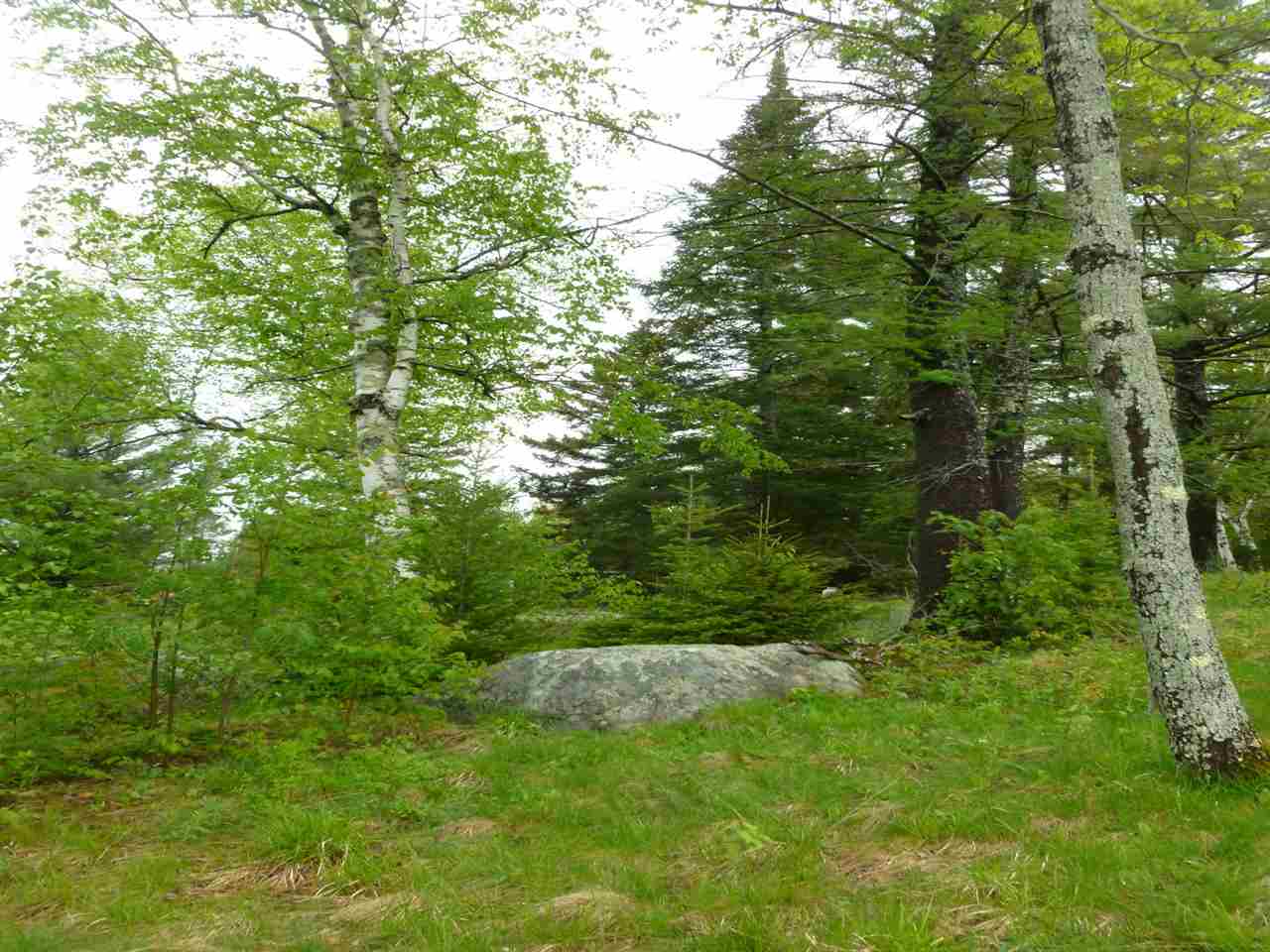 45 Harmony Hill Road, Carroll, NH 03595