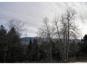 Lot 8.1 New Straw Road, Carroll, NH 03595