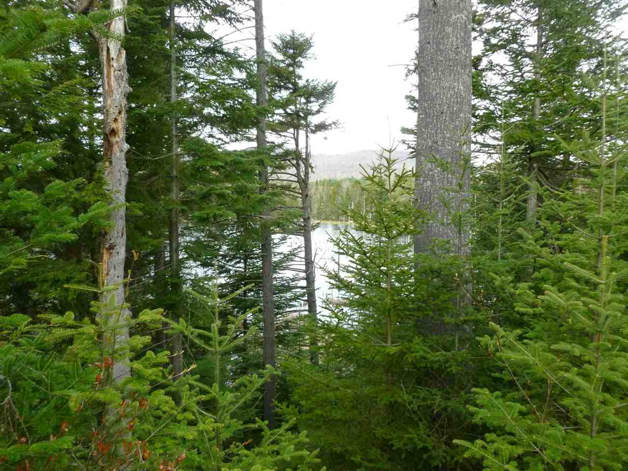 0 Black Bear Road, Carroll, NH 03595