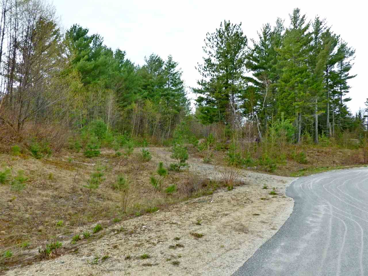 0 Black Bear Road, Carroll, NH 03595